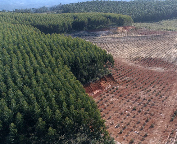 Urussanga Minérios - Meio Ambiente